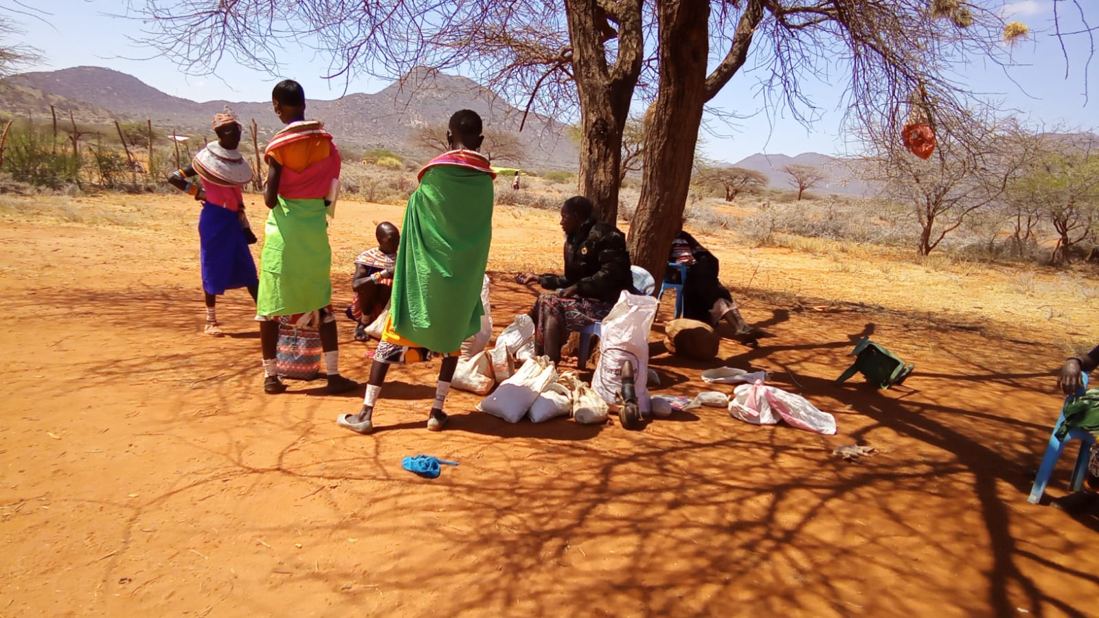 Community gathering under acacia tree