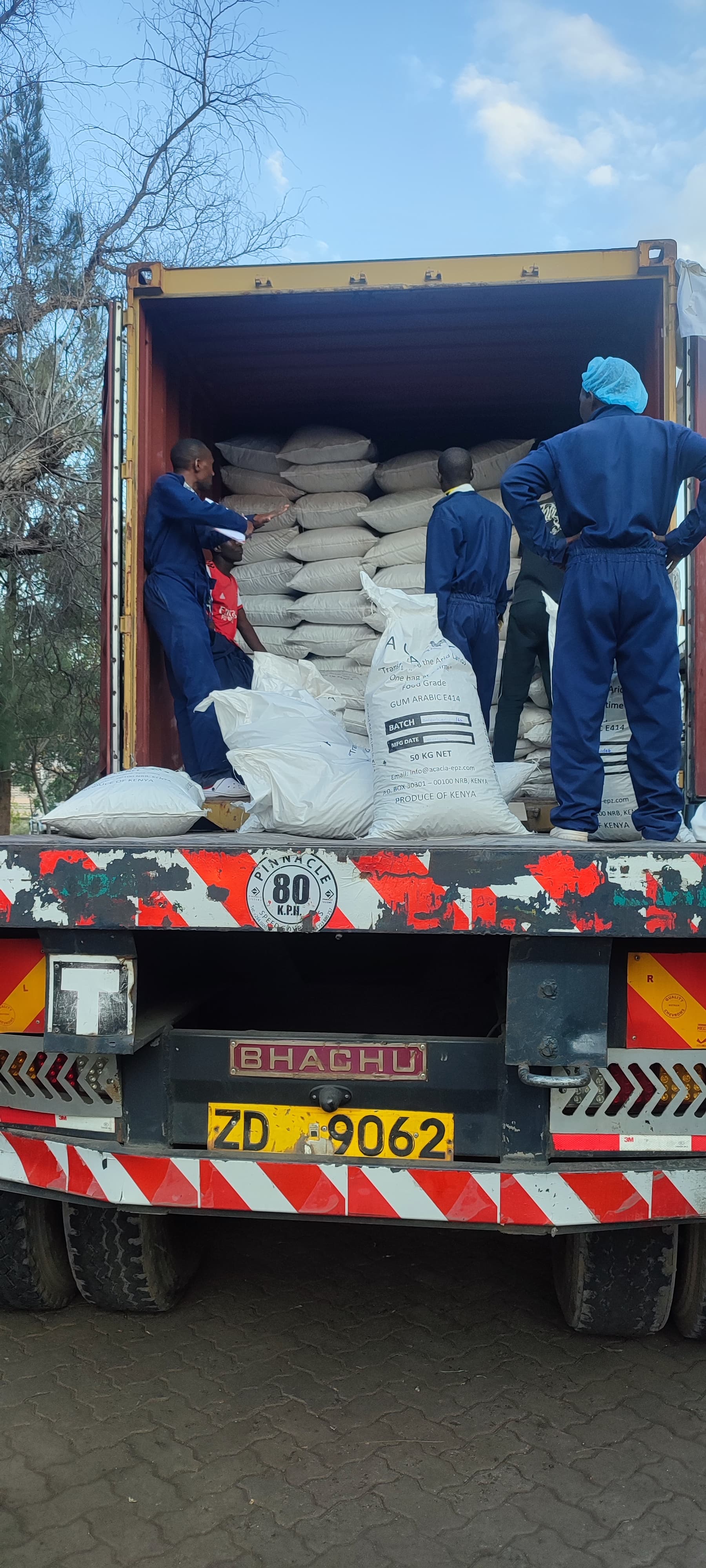 Loading containerized Gum Arabic for export to the European Union