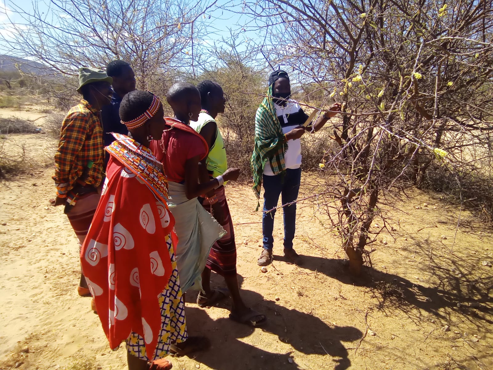 Group tapping training session with collectors