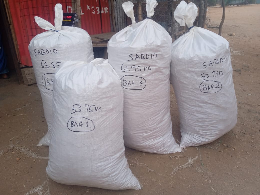 Weighed and labelled gum arabic collection bags at Sabdio aggregation point